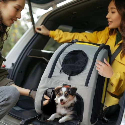 2-in-1 Pet Stroller & Detachable Car Seat – Foldable Dog Stroller with Shock-Absorbing Wheels
