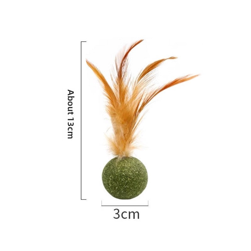 Natural silvervine and catnip ball 
Interactive cat dental chew toy
Edible catnip toy for indoor cats
Cat teeth cleaning toy with feathers
Organic mint catnip ball
Cat breath freshener toy
Plaque removing cat chew
Natural tartar control for cats
Catnip wall ball with feathers
Safe-to-chew cat toy for teething