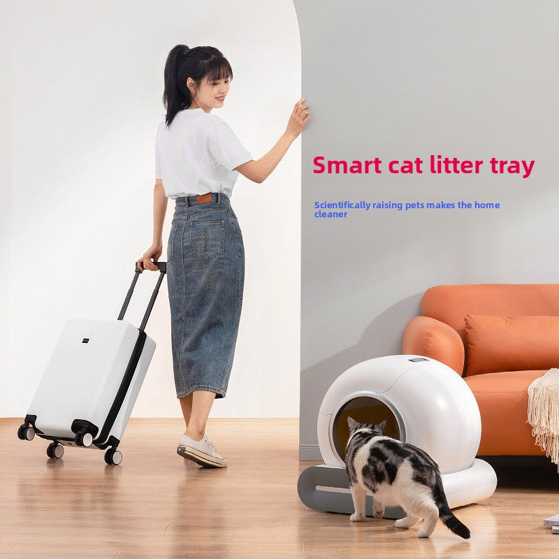 best automatic cat litter box
best self cleaning litter box for cats
large automatic cat litter box
quiet self cleaning litter box
automatic litter box for multiple cats
odor control automatic litter box
self cleaning litter box with app
covered automatic litter box