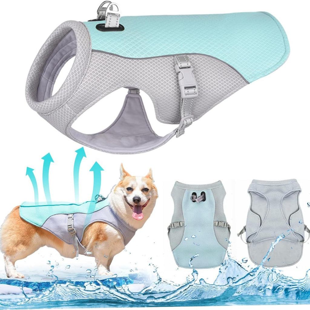 Dog cooling vest
Pet cooling jacket
Summer dog gear
Dog heat relief
Cooling harness
Best cooling vest for French Bulldogs 
Reflective dog cooling coat for summer walks
Evaporative cooling vest for large dogs
UV protection dog shirt for hiking
Lightweight dog cooling harness with leash attachment
Heatstroke prevention for pets
Moisture-wicking mesh fabric
Swamp cooler dog vest
Instant cooling technology
Breathable pet sun protection