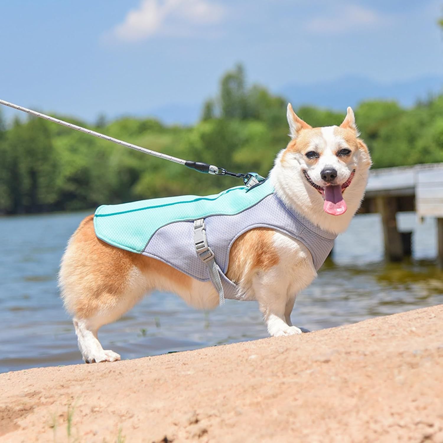 Dog cooling vest
Pet cooling jacket
Summer dog gear
Dog heat relief
Cooling harness
Best cooling vest for French Bulldogs 
Reflective dog cooling coat for summer walks
Evaporative cooling vest for large dogs
UV protection dog shirt for hiking
Lightweight dog cooling harness with leash attachment
Heatstroke prevention for pets
Moisture-wicking mesh fabric
Swamp cooler dog vest
Instant cooling technology
Breathable pet sun protection
