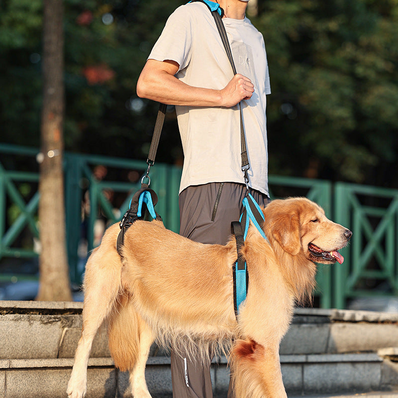 Assistive device for dogs on stairs
Dog handle harness for lifting
Post-op dog recovery gear
Arthritis aid for aging dogs
Rehabilitation harness for paralyzed dogs
Help-em-up style dog harness
K9 ACL surgery recovery harness
Hip dysplasia support harness for dogs
Rear leg weakness support for dogs
Full body dog sling for mobility
Veterinary grade dog lift vest