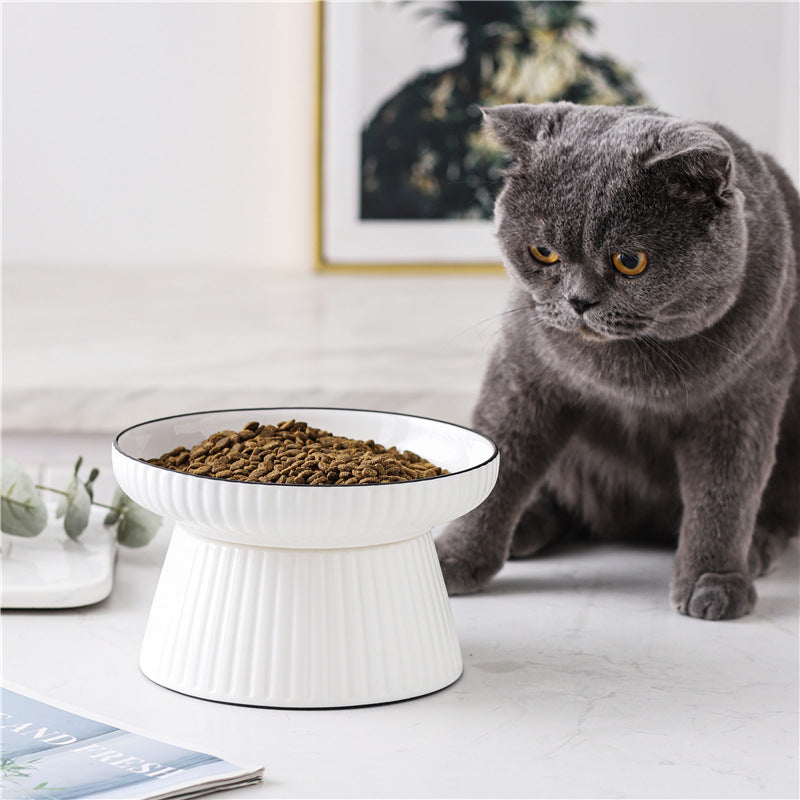 best elevated cat bowl
ceramic elevated cat bowl
raised cat bowl for indoor cats
elevated cat bowl for digestion
cat bowl for whisker fatigue
non toxic cat bowl ceramic
tilted cat bowl for easy eating
cat bowl for flat faced cats