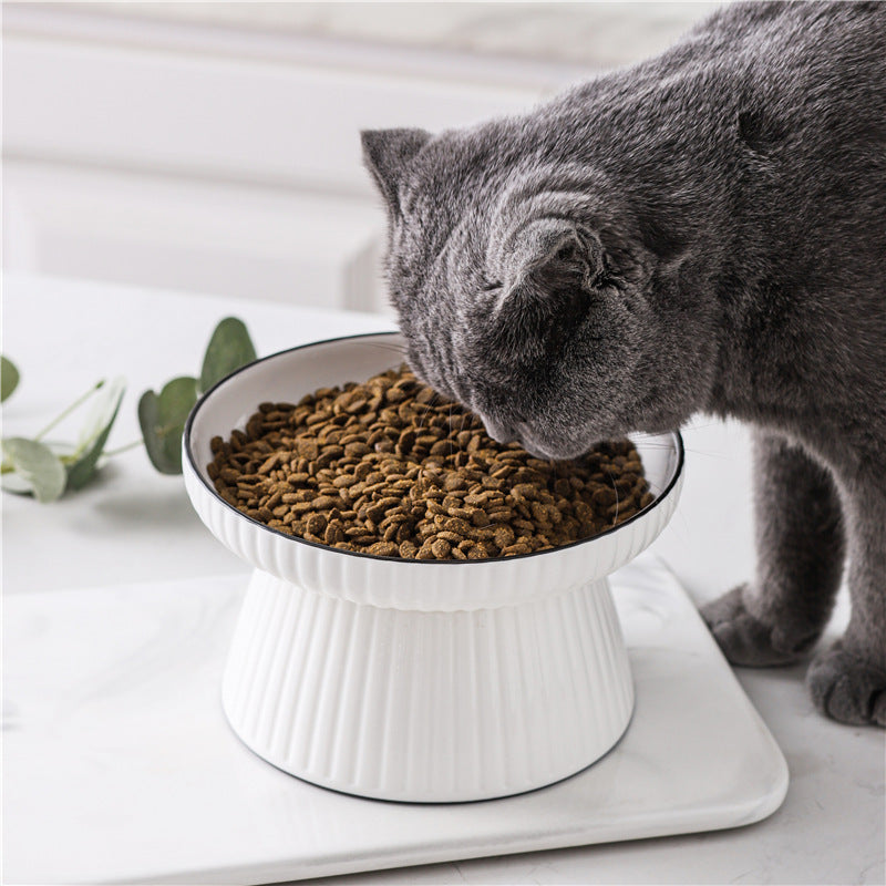 best elevated cat bowl
ceramic elevated cat bowl
raised cat bowl for indoor cats
elevated cat bowl for digestion
cat bowl for whisker fatigue
non toxic cat bowl ceramic
tilted cat bowl for easy eating
cat bowl for flat faced cats