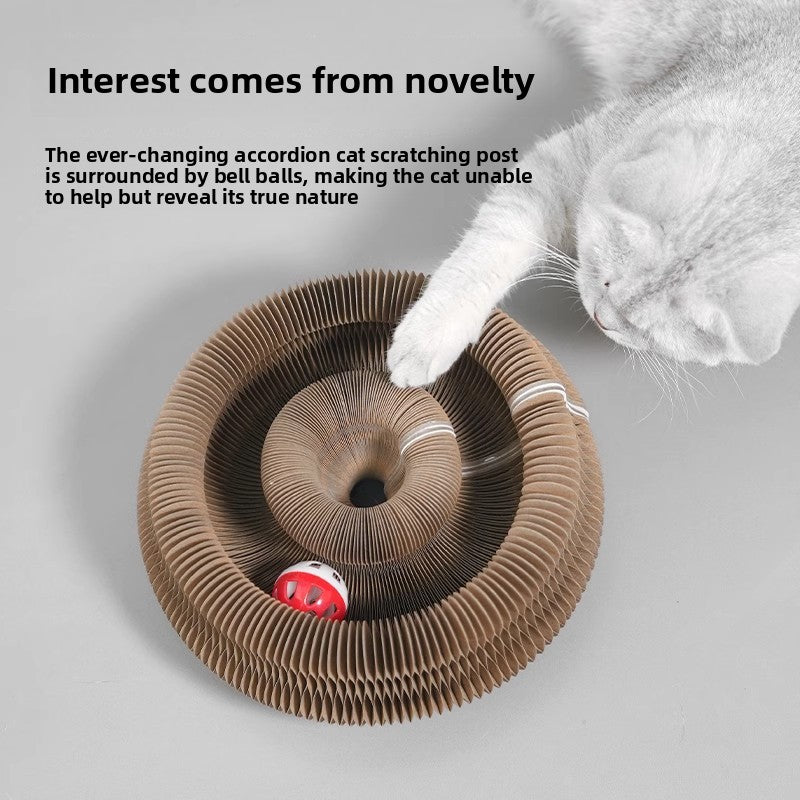 how to keep indoor cats entertained
toys for bored indoor cats
how to exercise a lazy cat
cat enrichment ideas for small apartments
how to reduce cat boredom