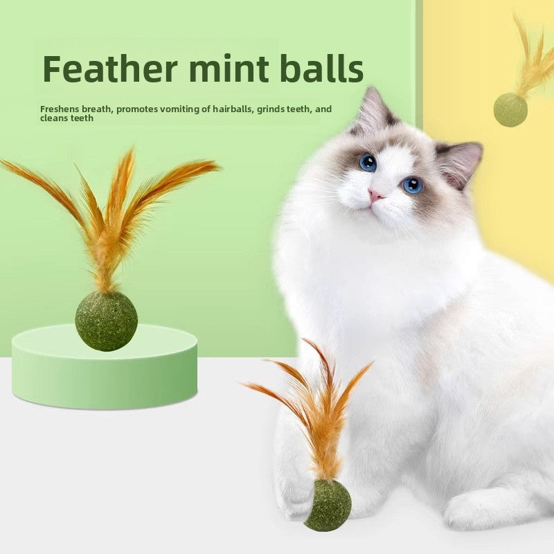 Natural silvervine and catnip ball 
Interactive cat dental chew toy
Edible catnip toy for indoor cats
Cat teeth cleaning toy with feathers
Organic mint catnip ball
Cat breath freshener toy
Plaque removing cat chew
Natural tartar control for cats
Catnip wall ball with feathers
Safe-to-chew cat toy for teething