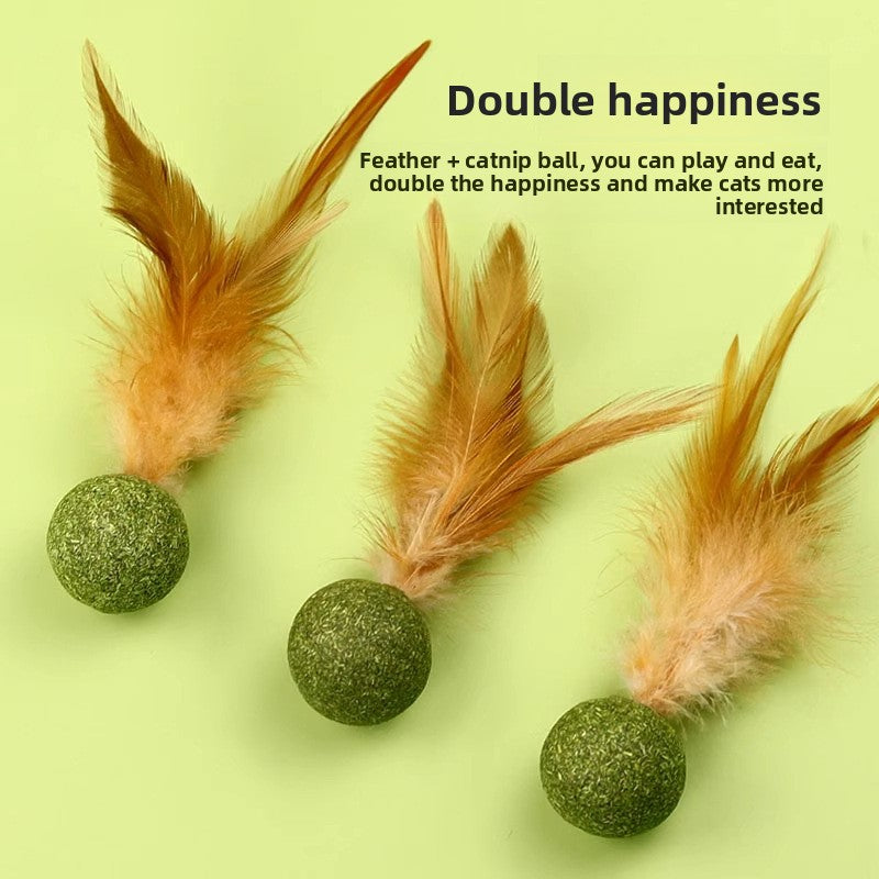 Natural silvervine and catnip ball 
Interactive cat dental chew toy
Edible catnip toy for indoor cats
Cat teeth cleaning toy with feathers
Organic mint catnip ball
Cat breath freshener toy
Plaque removing cat chew
Natural tartar control for cats
Catnip wall ball with feathers
Safe-to-chew cat toy for teething