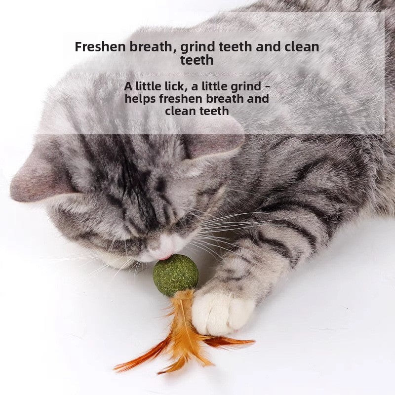 Natural silvervine and catnip ball 
Interactive cat dental chew toy
Edible catnip toy for indoor cats
Cat teeth cleaning toy with feathers
Organic mint catnip ball
Cat breath freshener toy
Plaque removing cat chew
Natural tartar control for cats
Catnip wall ball with feathers
Safe-to-chew cat toy for teething