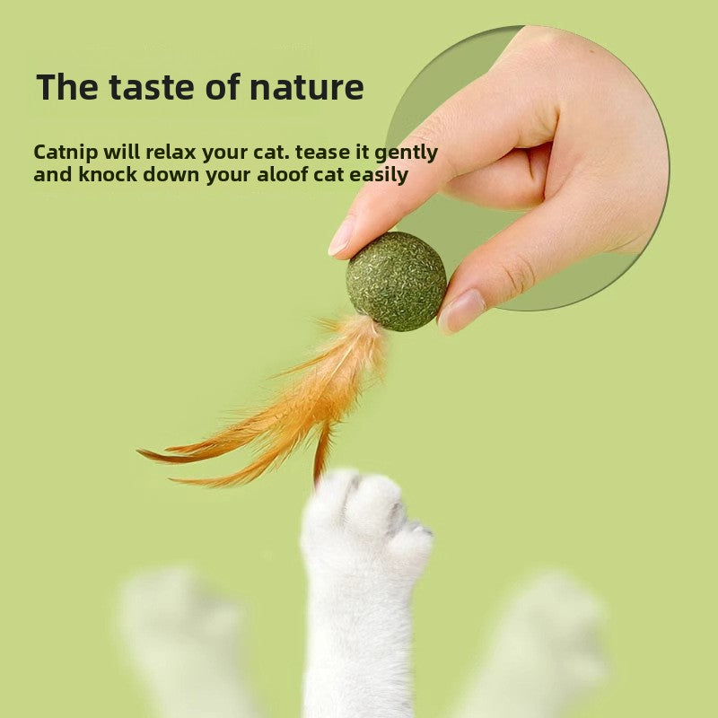 Natural silvervine and catnip ball 
Interactive cat dental chew toy
Edible catnip toy for indoor cats
Cat teeth cleaning toy with feathers
Organic mint catnip ball
Cat breath freshener toy
Plaque removing cat chew
Natural tartar control for cats
Catnip wall ball with feathers
Safe-to-chew cat toy for teething