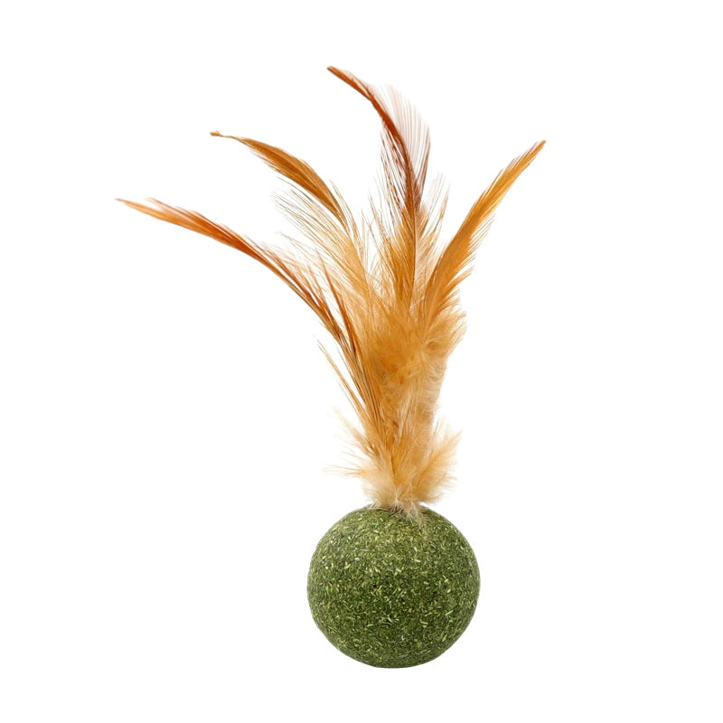 Natural silvervine and catnip ball 
Interactive cat dental chew toy
Edible catnip toy for indoor cats
Cat teeth cleaning toy with feathers
Organic mint catnip ball
Cat breath freshener toy
Plaque removing cat chew
Natural tartar control for cats
Catnip wall ball with feathers
Safe-to-chew cat toy for teething