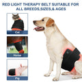 Non-invasive dog arthritis pain relief
Red light therapy for pet wound healing
Canine hip dysplasia light therapy
Post-surgery muscle recovery for dogs
Natural anti-inflammatory for senior pets
Ligament repair support for dogs
Handheld red light therapy for animals
At-home vet-recommended light therapy
Portable infrared pet healing wand
Drug-free pet pain management tool
