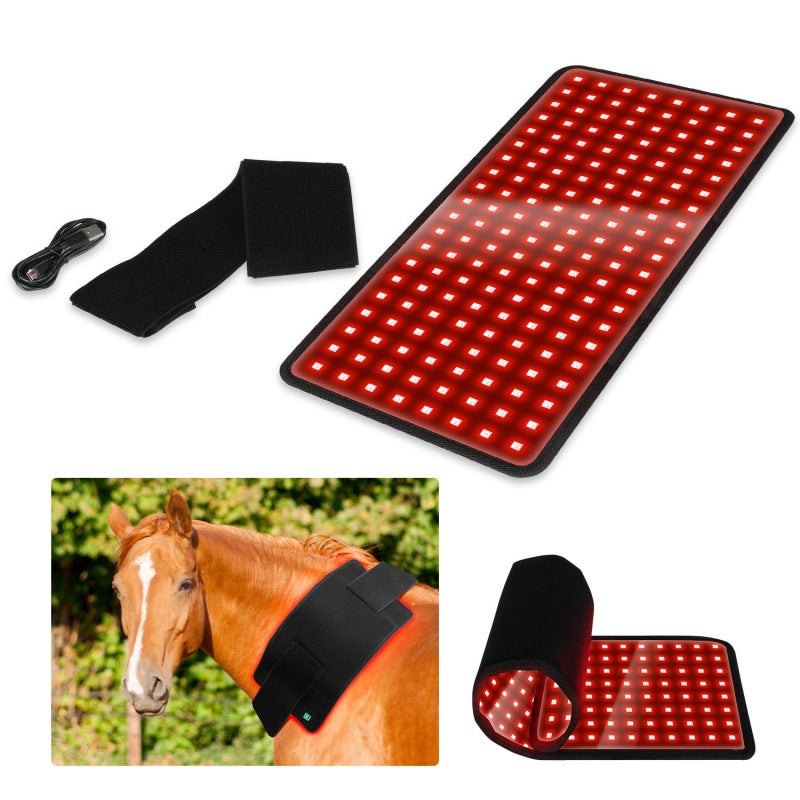 Non-invasive dog arthritis pain relief
Red light therapy for pet wound healing
Canine hip dysplasia light therapy
Post-surgery muscle recovery for dogs
Natural anti-inflammatory for senior pets
Ligament repair support for dogs
Handheld red light therapy for animals
At-home vet-recommended light therapy
Portable infrared pet healing wand
Drug-free pet pain management tool
