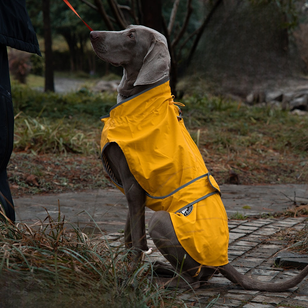 Hydrophobic pet fabric
Full-body dog rain suit
Mud-proof dog apparel
Breathable dog raincoat
Easy-on dog rain poncho
Dog raincoat
Waterproof pet jacket
Dog rain gear
Puppy poncho
Dog windbreaker
Waterproof dog coat with harness hole
Large dog raincoat with belly coverage
Reflective dog raincoat for night walks
Lightweight dog rain jacket for summer
Small dog raincoat with hood
Adjustable waterproof vest for dogs