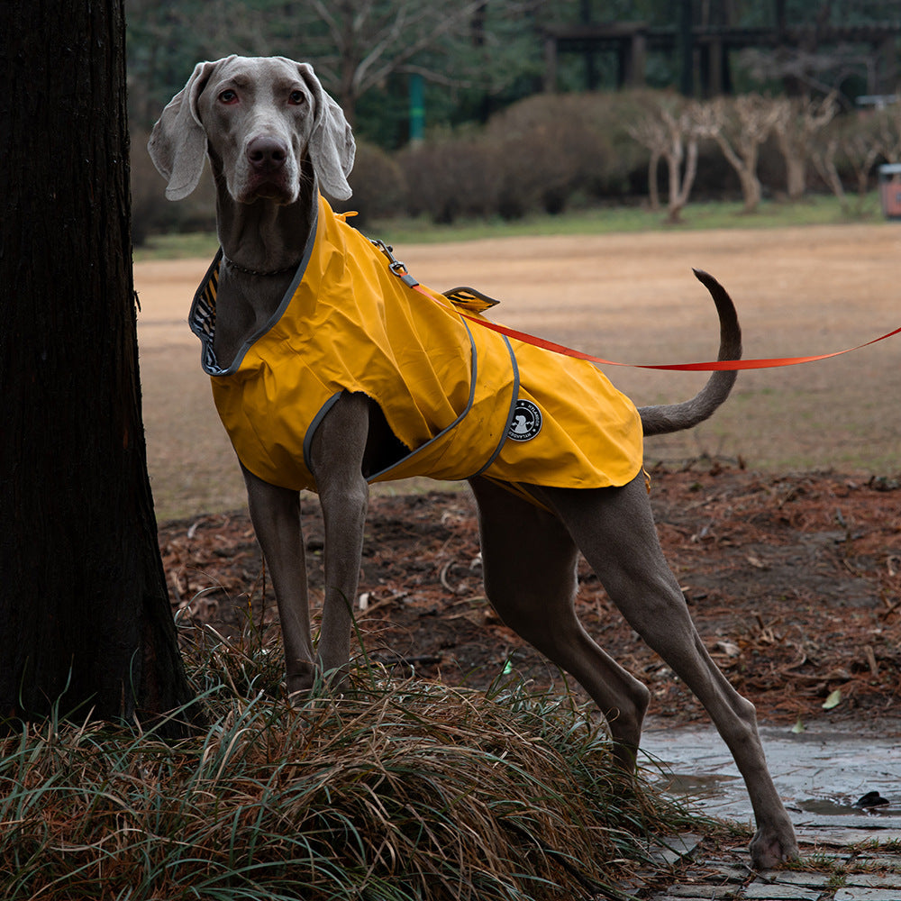 Hydrophobic pet fabric
Full-body dog rain suit
Mud-proof dog apparel
Breathable dog raincoat
Easy-on dog rain poncho
Dog raincoat
Waterproof pet jacket
Dog rain gear
Puppy poncho
Dog windbreaker
Waterproof dog coat with harness hole
Large dog raincoat with belly coverage
Reflective dog raincoat for night walks
Lightweight dog rain jacket for summer
Small dog raincoat with hood
Adjustable waterproof vest for dogs