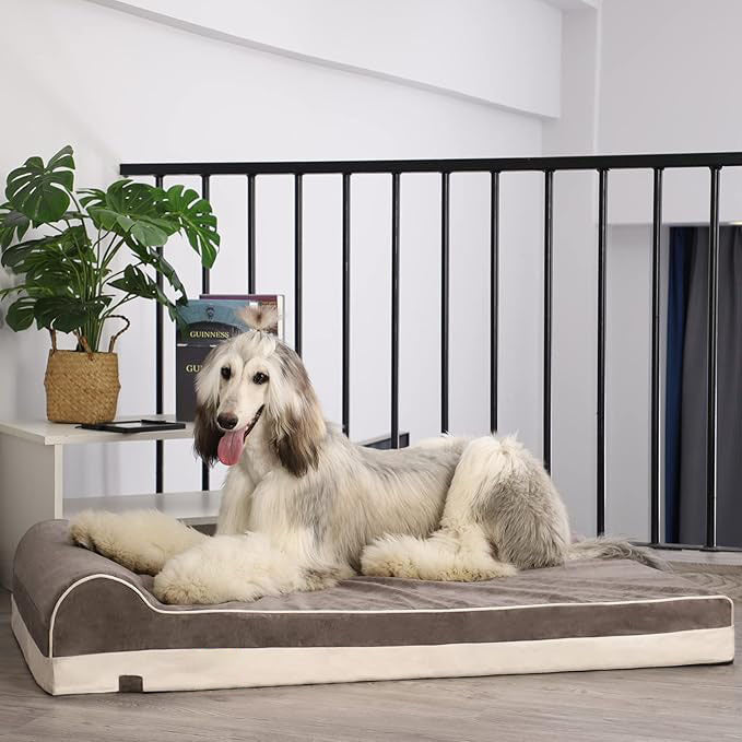 Orthopedic Memory Foam Dog Bed | Waterproof Joint Relief Mattress with Integrated Pillow