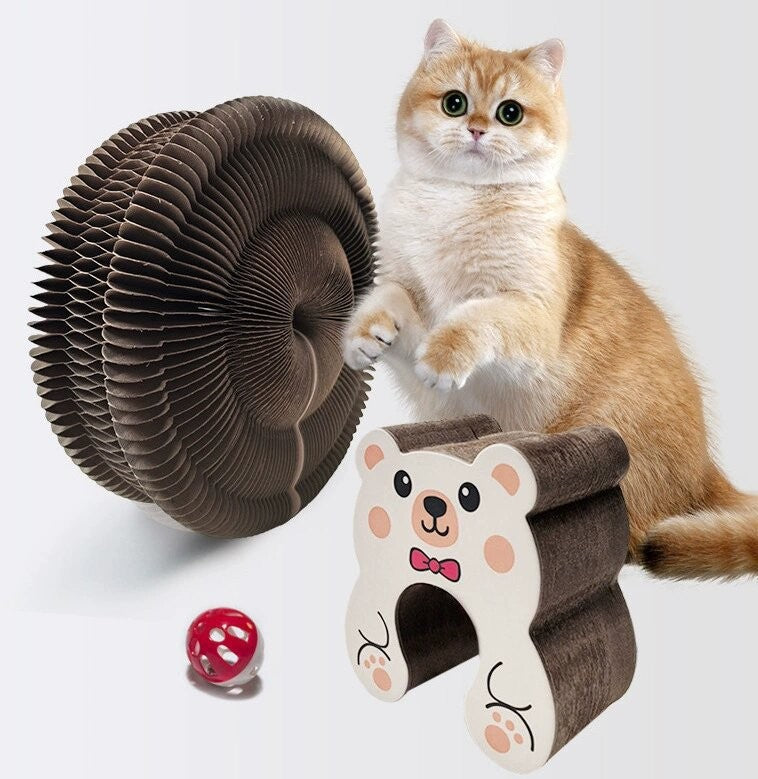 how to keep indoor cats entertained
toys for bored indoor cats
how to exercise a lazy cat
cat enrichment ideas for small apartments
how to reduce cat boredom
